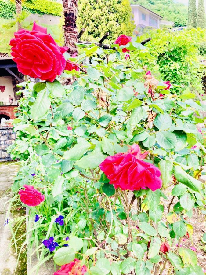 Casa Angiolina - Holidays モルコテ エクステリア 写真